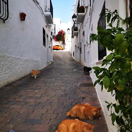 Vida Mia Almeria Вера Екстериор снимка